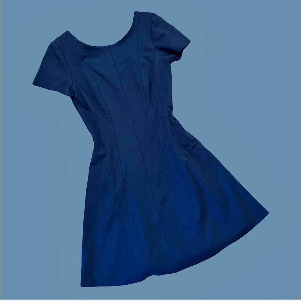 Banana Republic Blue Fit and Flare Mini Dress
